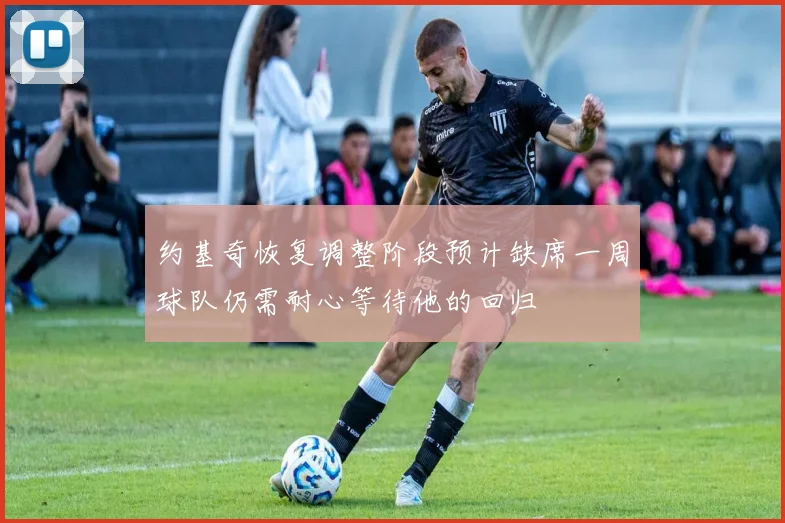 约基奇恢复调整阶段预计缺席一周球队仍需耐心等待他的回归