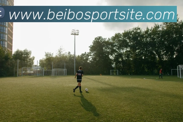 贝博体育服务体系